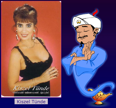 Az Akinator mindent kitalál
