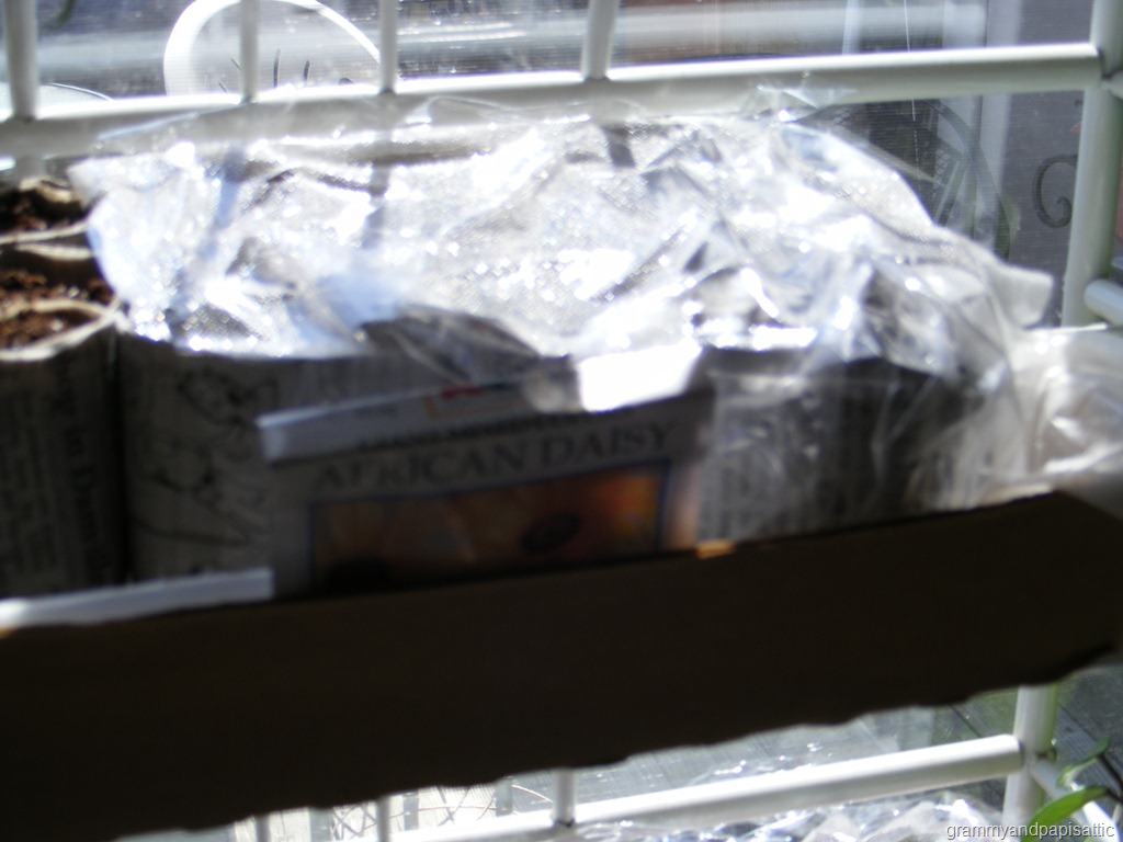 [DSCF10203.jpg]