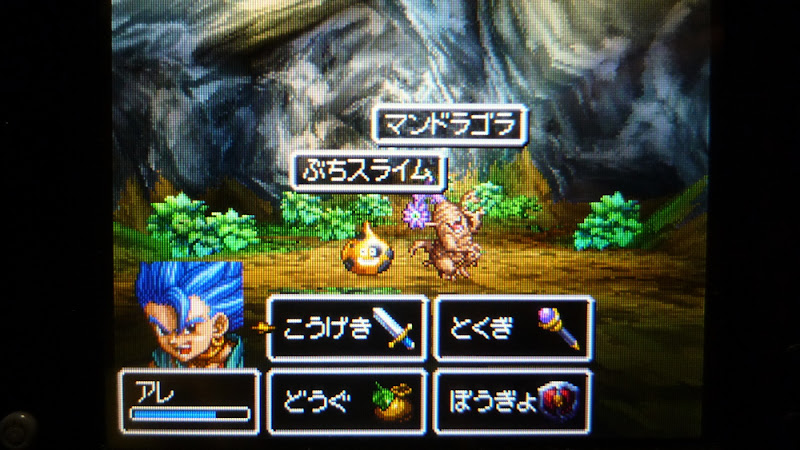 Dragon Quest VI DS ドラゴンクエスト ドラクエ DQ6