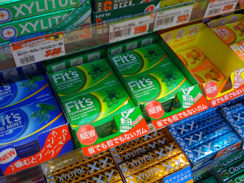 fit's lotte chewing gum フィッツ ロッテ ガム chicle