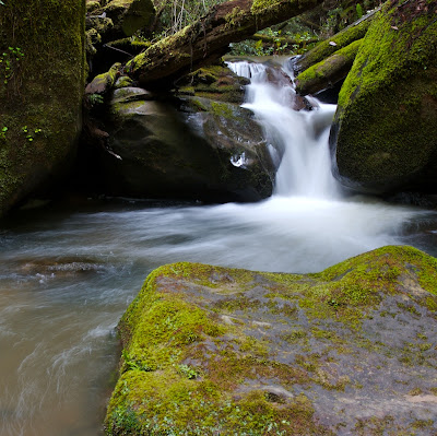Improve Outdoor Photography without Spending Money