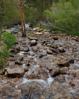 north fork big pine creek