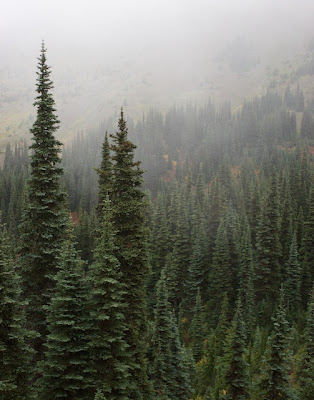 Hurricane Ridge
