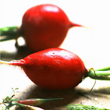 Radies_Fruechte_Knolle.jpg