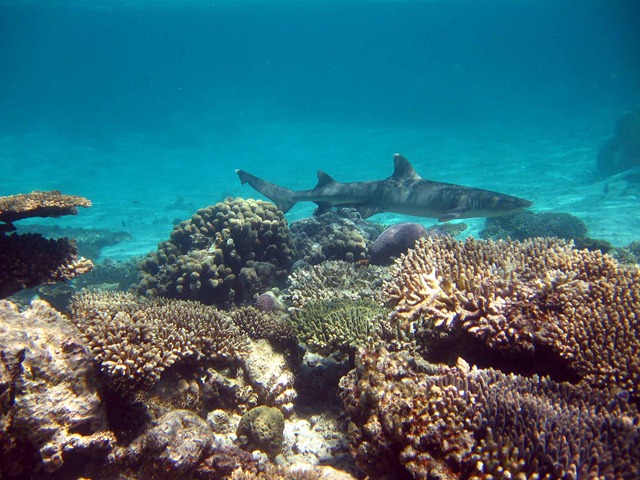 [kayak 061[4].jpg]