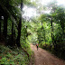 Tanzania 355 - Kilimanjaro.JPG, Tanzania 355 - Kilimanjaro, Tanzania