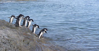 Antartida 004.jpg