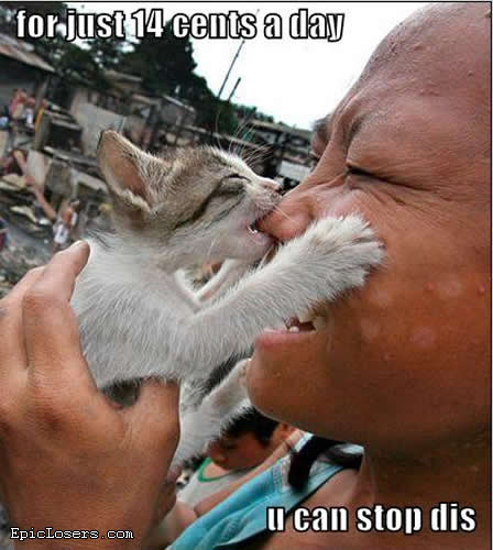 For just 14 cents a day U can stop dis - LOLCats