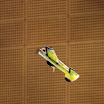 hallenflug 061.JPG