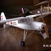 Storch_JPG_jpg.jpg