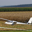 IMGP1074.jpg