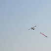 IMGP1113.jpg