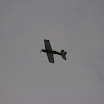 IMGP0363.JPG