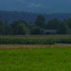 k-P1110182.JPG