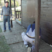 k3-P1110883.jpg