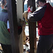 k-P1110911.JPG