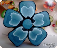 Cane fleur bleu canard avant réduction bis- Mars 2010 Cane fleur bleu canard avant réduction bis- Mars 2010