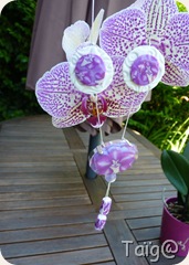 collier Orchidées collier Orchidées