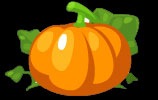 PetSocietyPumpkin