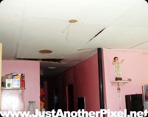 living room ceiling