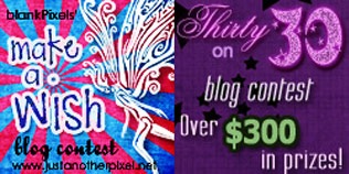 My blog contests in 2010 - Make a Wish and Thirty on 30 - JustAnotherPixel.net