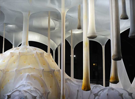 [ernesto neto3[4].jpg]