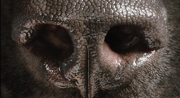 [tim flach4[4].jpg]