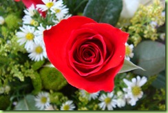 DSC00191 DSC00191