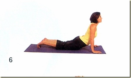 Yoga tipo 9 mudra 6b Yoga tipo 9 mudra 6b