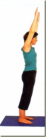 Yoga tipo 8 mudra 1 Yoga tipo 8 mudra 1