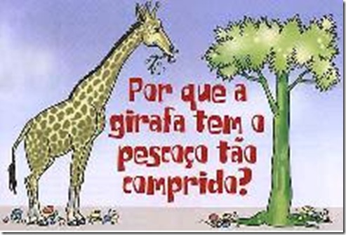 Girafa Girafa