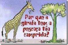 Girafa Girafa