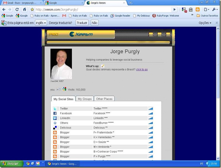 163 000 visitas no Xeesm 163 000 visitas no Xeesm