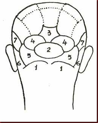 Craniologia 01 Craniologia 01