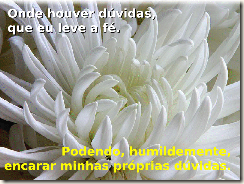 s06 s06