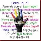 Esperanto 140 x140 Esperanto 140 x140