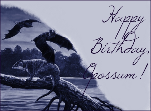opossum.JPG