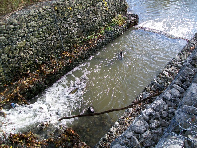 [200905101373.jpg]