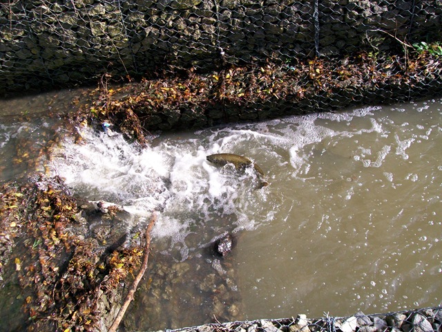 [200905100823.jpg]
