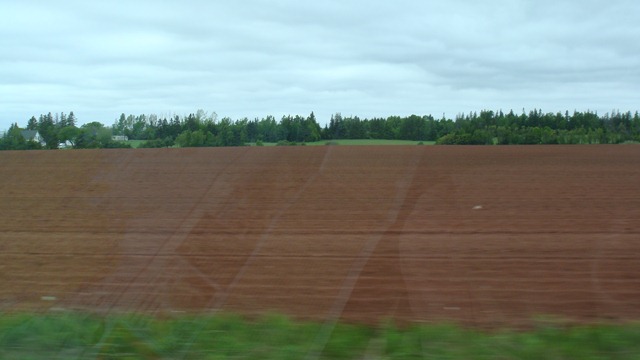 [DSC079862.jpg]