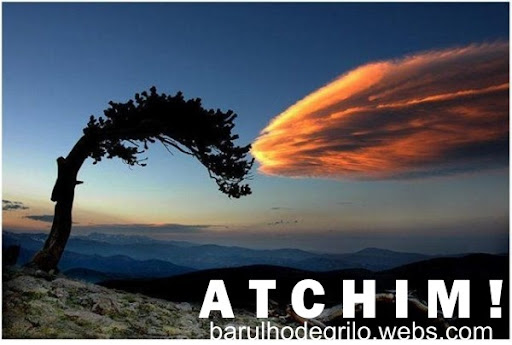 http://lh6.ggpht.com/_bKN77pn74dA/Shns4MaMbFI/AAAAAAAABik/cPXtekSs-uo/atchim.jpg