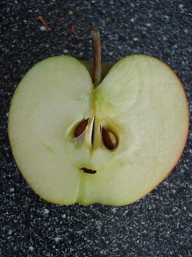 http://lh6.ggpht.com/_bKN77pn74dA/SrGCr0i5kqI/AAAAAAAAClY/D9OE4ECnidw/3589023756_6c9e76075c.jpg