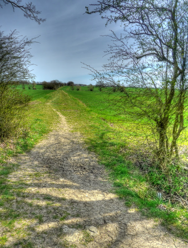 P1070920_14_15_16_17_18_19_tonemapped.jpg