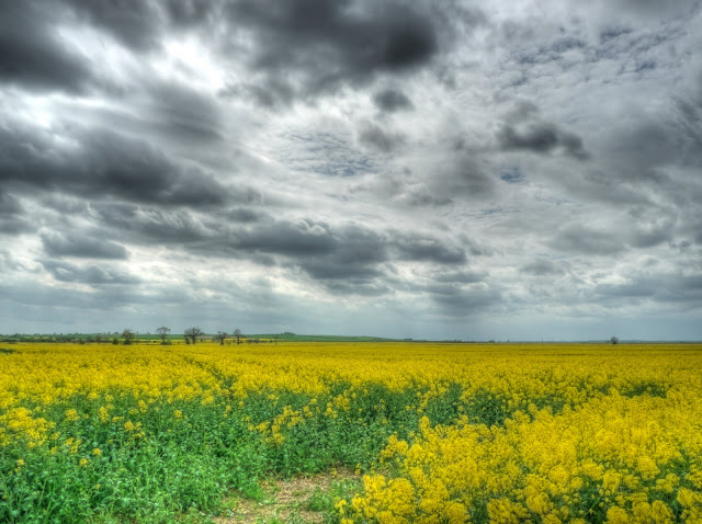 P1090482_76_77_78_79_80_81_tonemapped.jpg