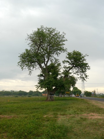 [P10100813.jpg]