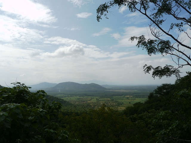 [P10100892.jpg]