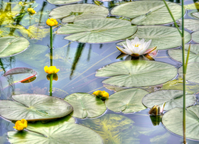 P1120161_59_60_tonemapped.jpg