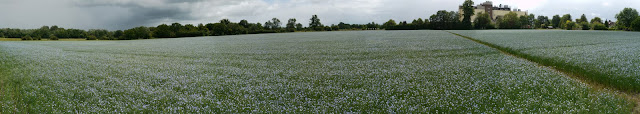 Fulbourn Flax panorama.jpg