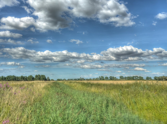 P1140379_3_4_5_6_7_8_tonemapped.jpg