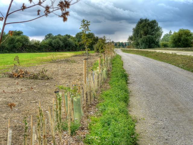 P1160199_3_4_5_6_7_8_tonemapped.jpg